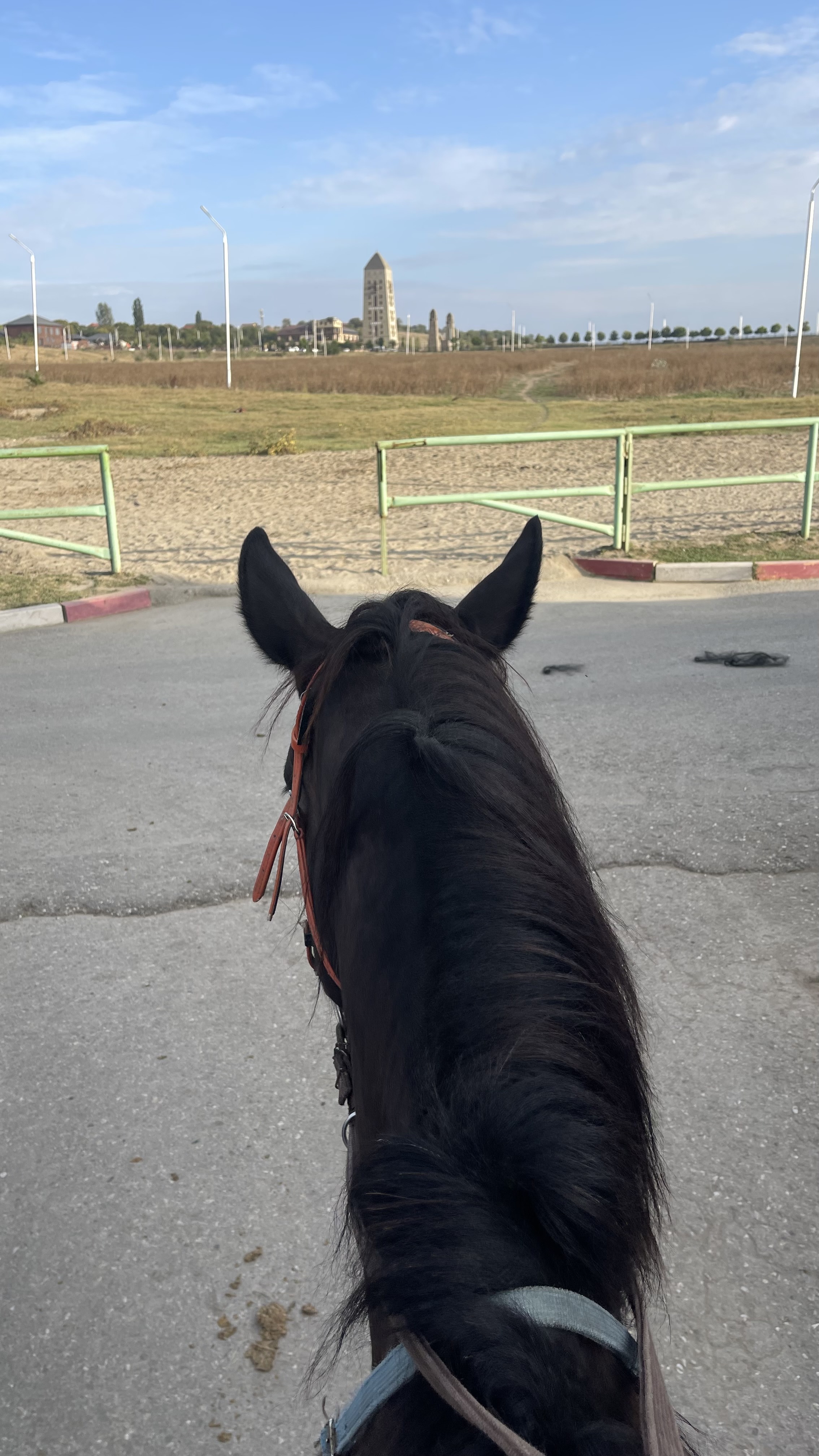 paard rijden