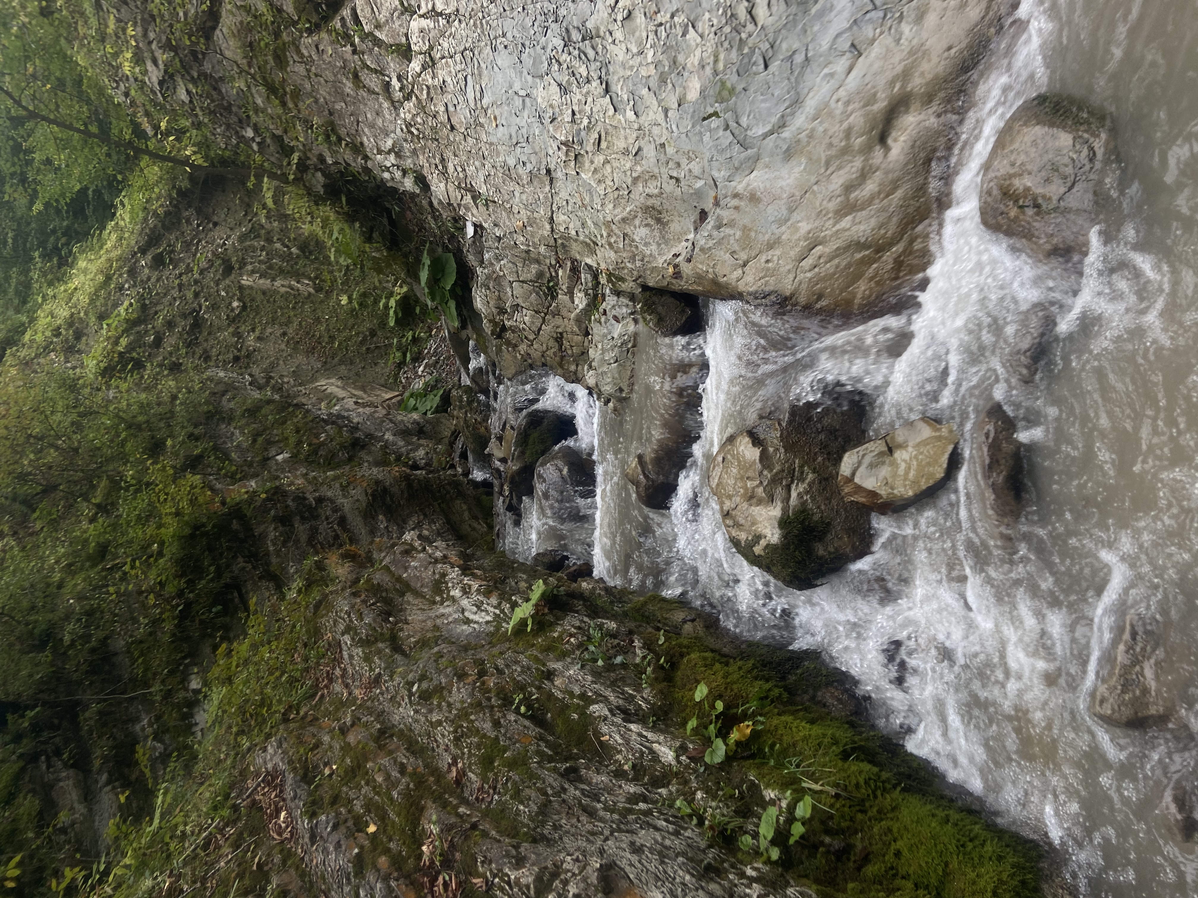 waterwandeling